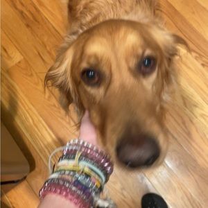 Meet your Posher, Stella